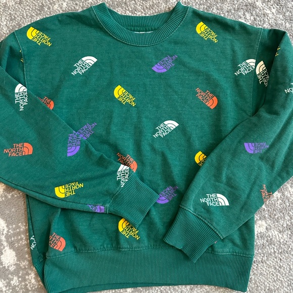 The North Face Colorblock logo recycled cropped sweatshirt in evergreen - Picture 13 of 13